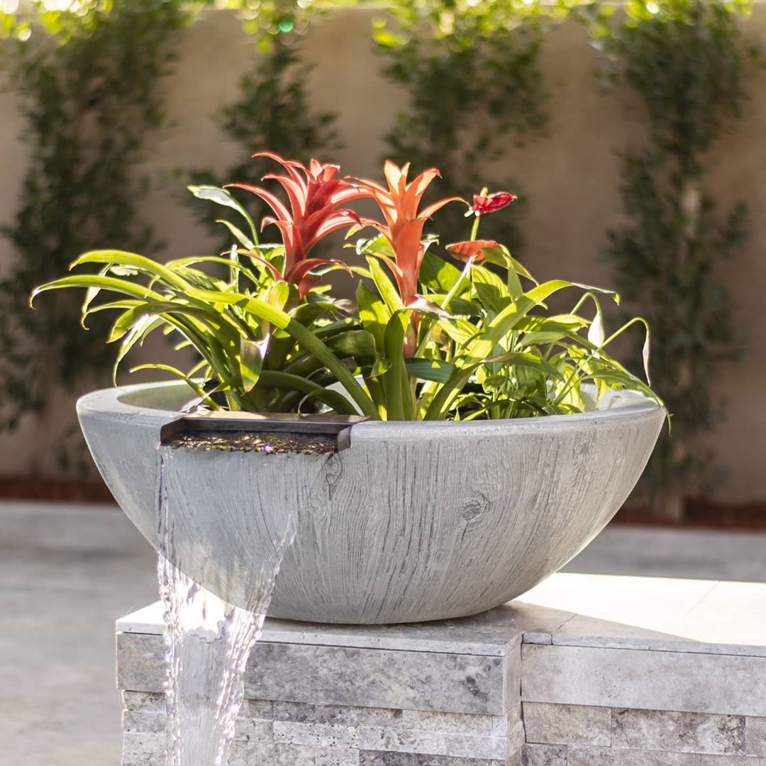 Planter & Water Bowls